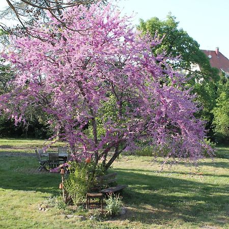 Aux Berges De La Thur Staffelfelden 외부 사진