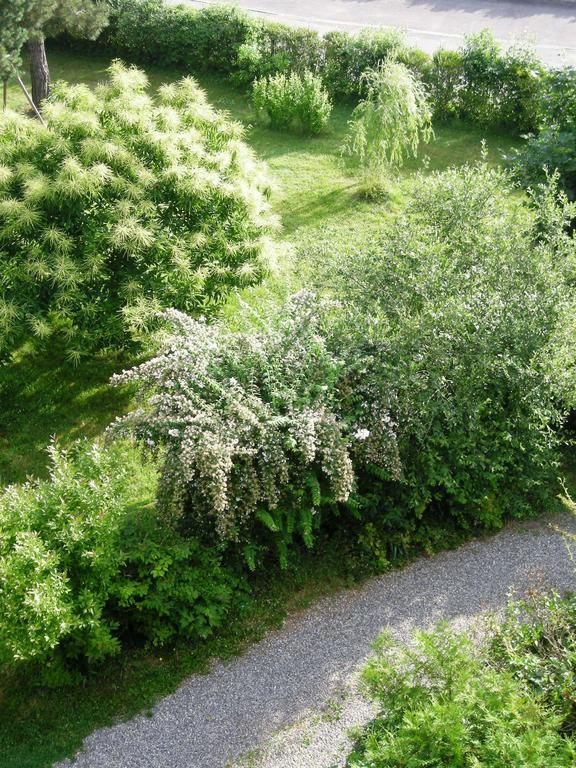 Aux Berges De La Thur Staffelfelden 외부 사진